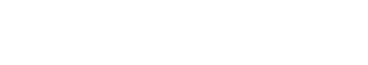 价格优势